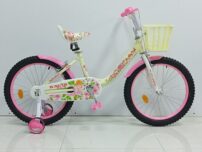 دوچرخه دخترانه کویر سایز 20